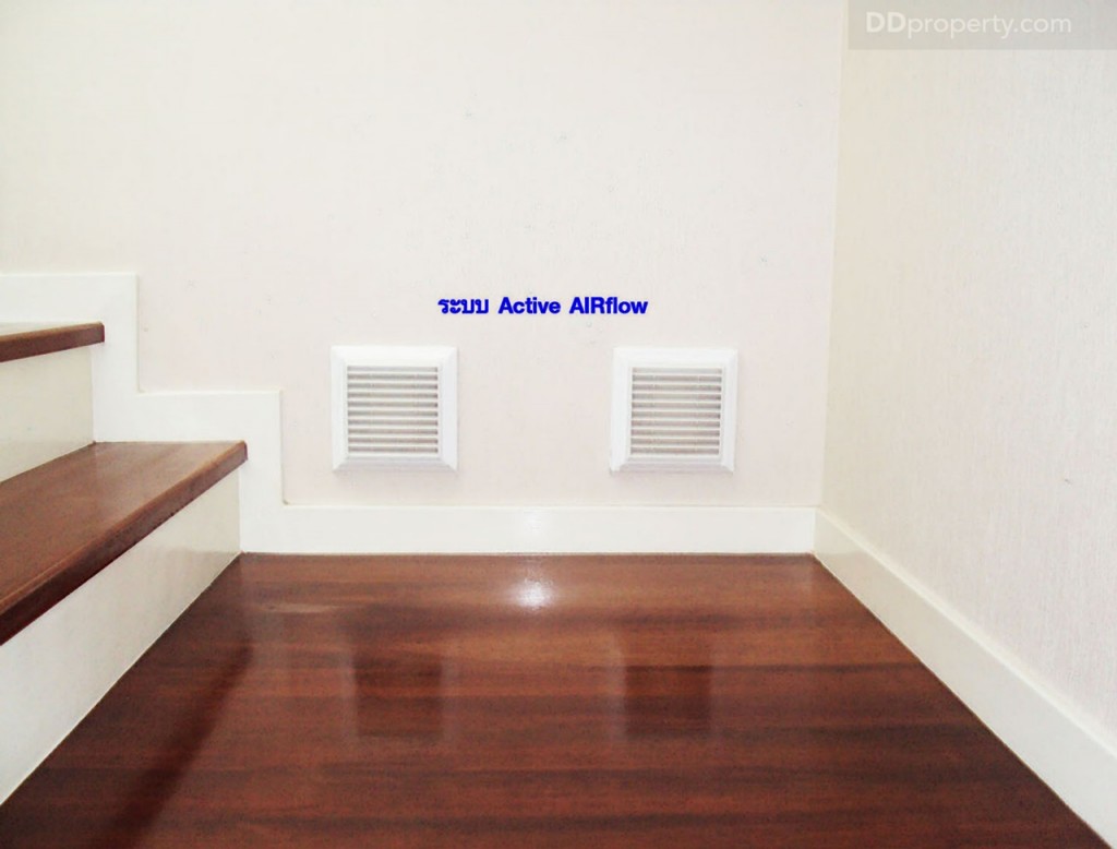 nc on green charmNc on Green Charm_124-102