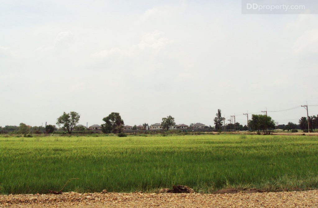 nc on green charmNc on Green Charm_14-003