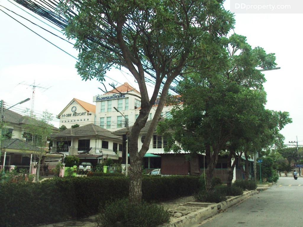 nc on green charmNc on Green Charm_32-012