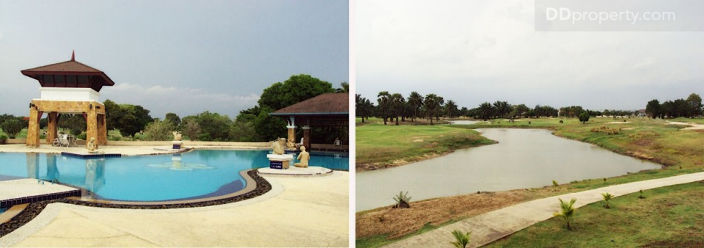 nc on green charmNc on Green Charm_40-020