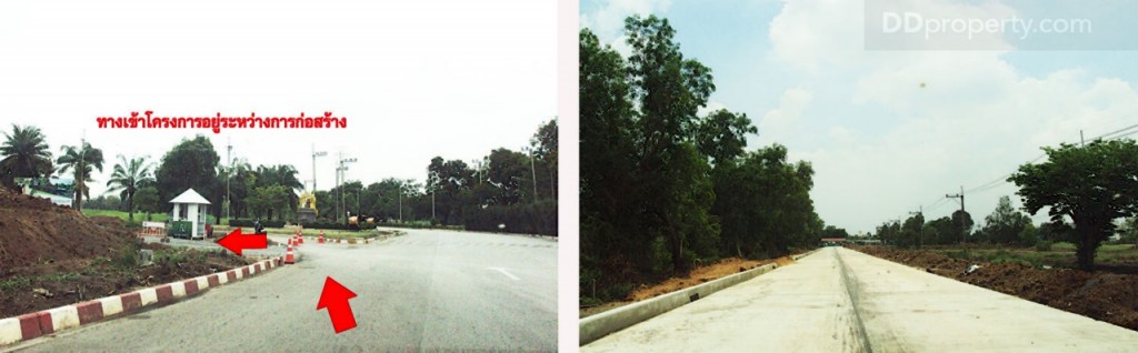 nc on green charmNc on Green Charm_41-021