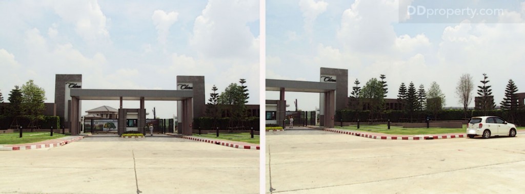 nc on green charmNc on Green Charm_43-023