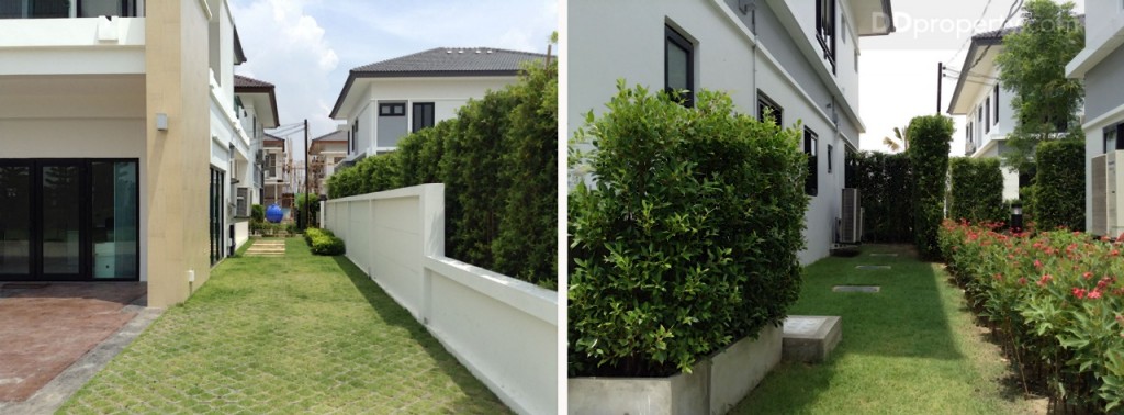 nc on green charmNc on Green Charm_52 -031