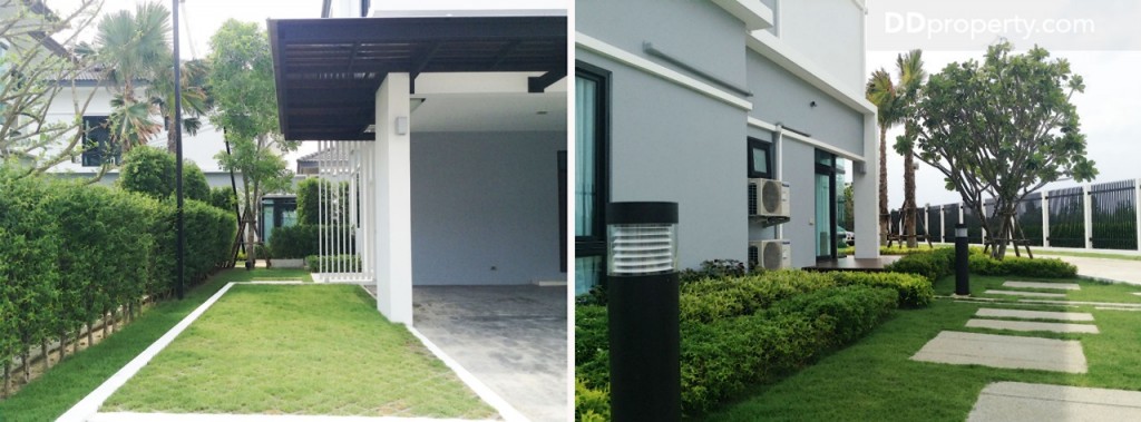 nc on green charmNc on Green Charm_85-064