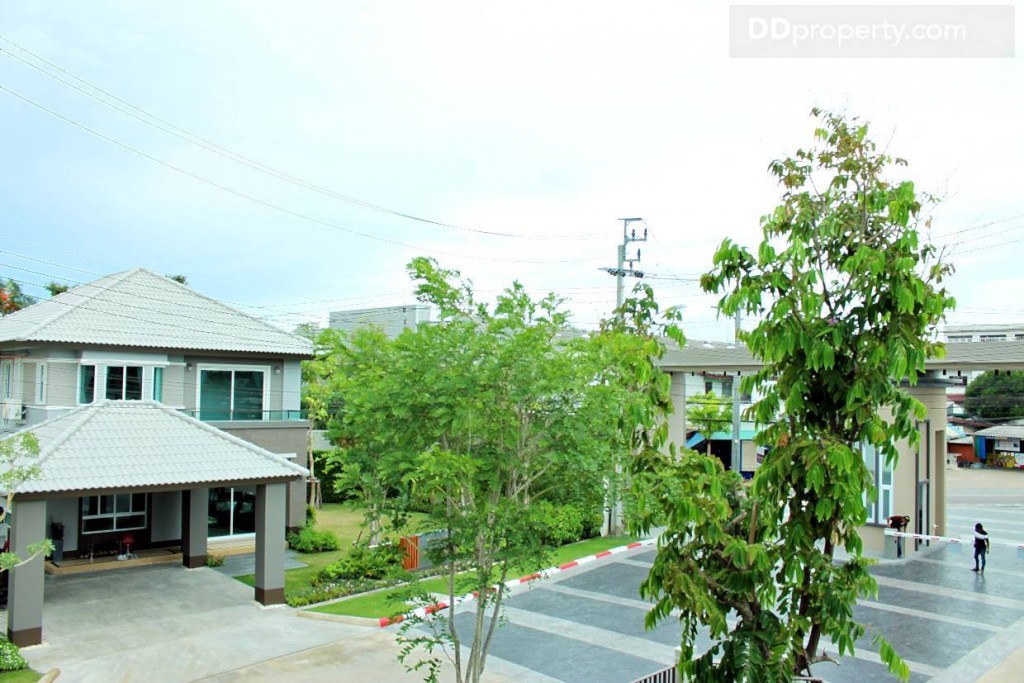 มุมมองด้านขวา