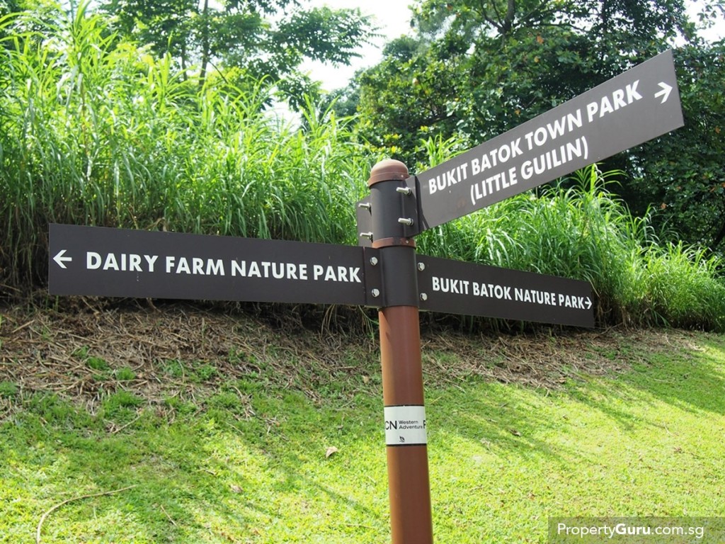 Photo credit: Ian Galloway