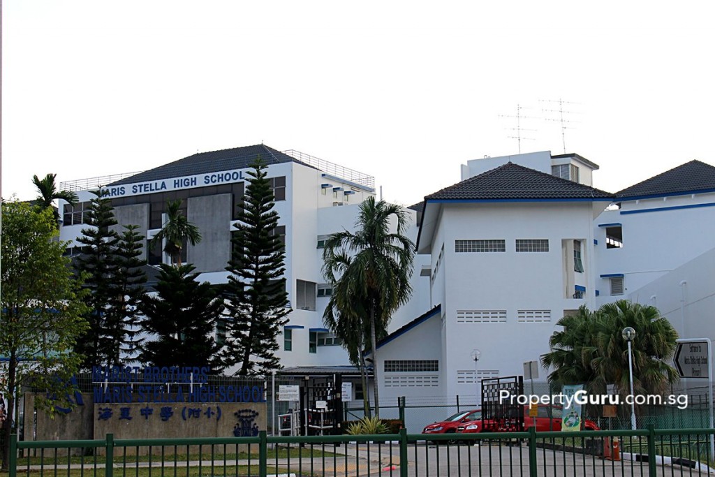 forest woods maris stella