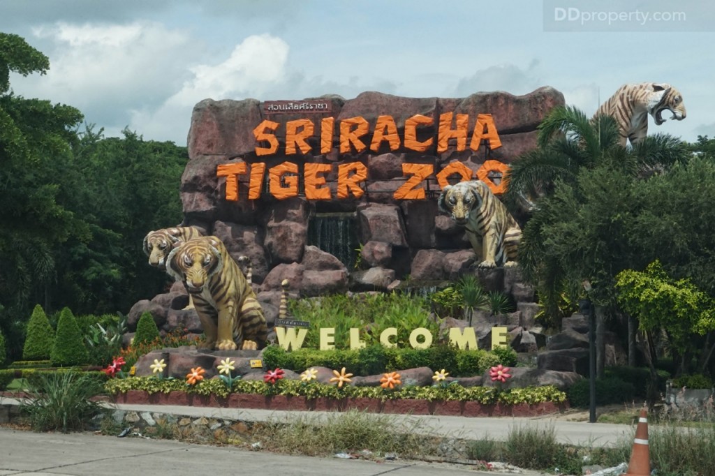 the season valley sriracha LocationDSC09963-012