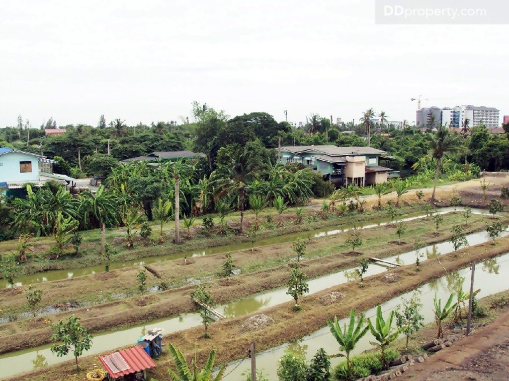 Thana Cluster Ratchaphruek  Bangplu Station08-003