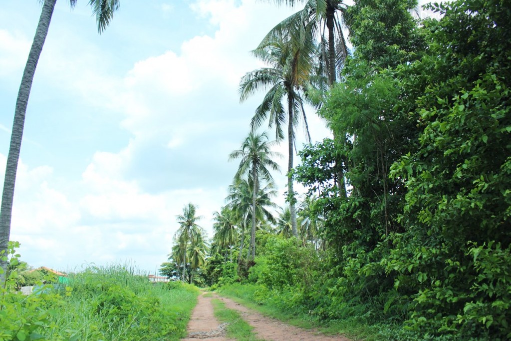 ทิศใต้: ด้านขวามือจะเป็นพื้นที่สวนผืนใหญ่