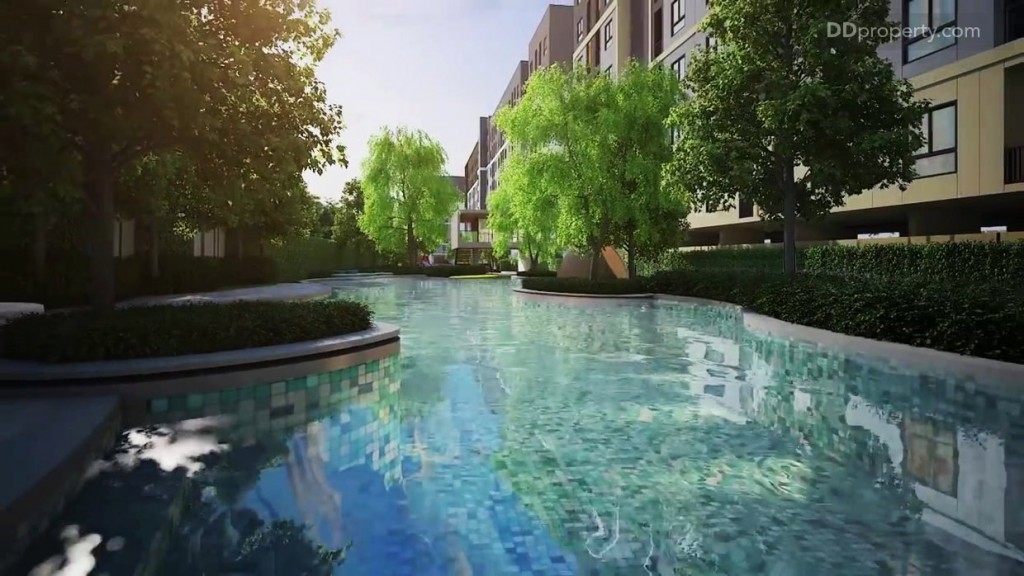 ภาพจำลองสระว่ายน้ำแบบฟรีฟอร์ม 