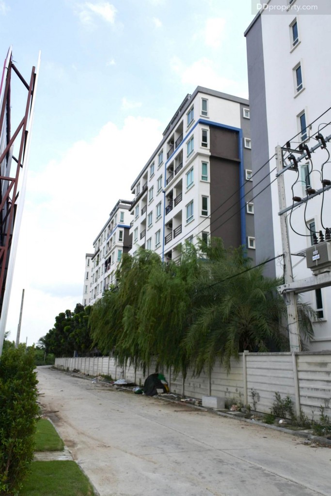 Unio SerithaiUnio Ramkhamhaeng Serithai_55-039