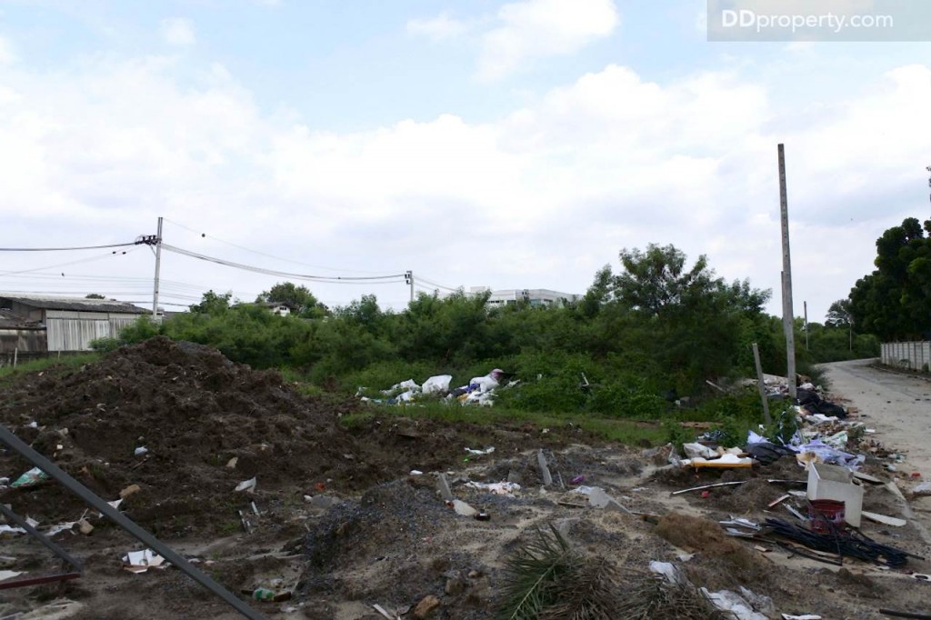 Unio SerithaiUnio Ramkhamhaeng Serithai_56-040