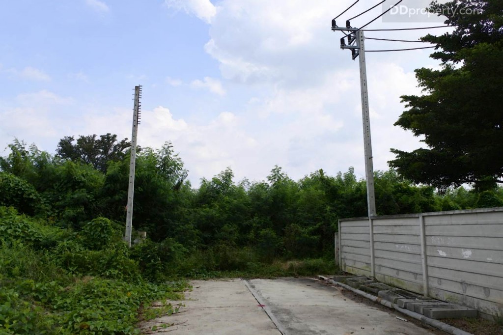 Unio SerithaiUnio Ramkhamhaeng Serithai_57-041