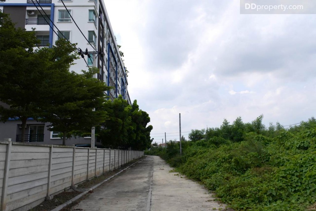 Unio SerithaiUnio Ramkhamhaeng Serithai_58-042