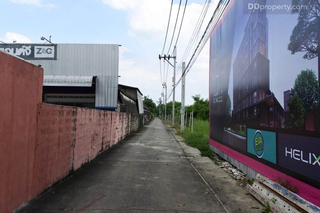 Unio SerithaiUnio Ramkhamhaeng Serithai_59-043