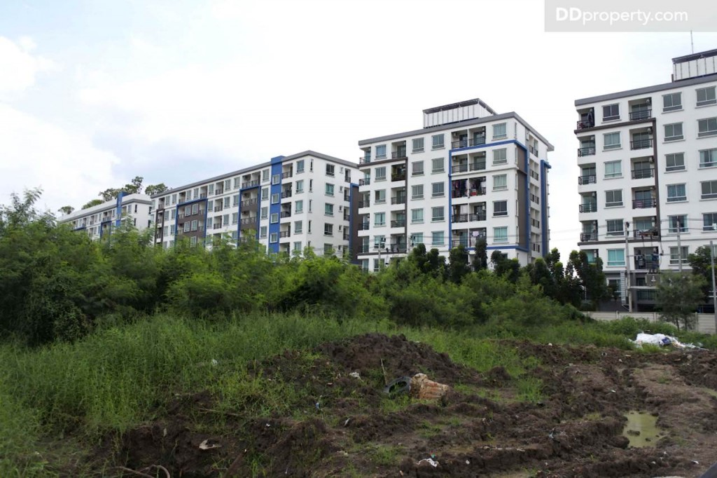 Unio SerithaiUnio Ramkhamhaeng Serithai_60-044