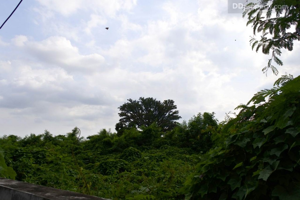 Unio SerithaiUnio Ramkhamhaeng Serithai_61-045