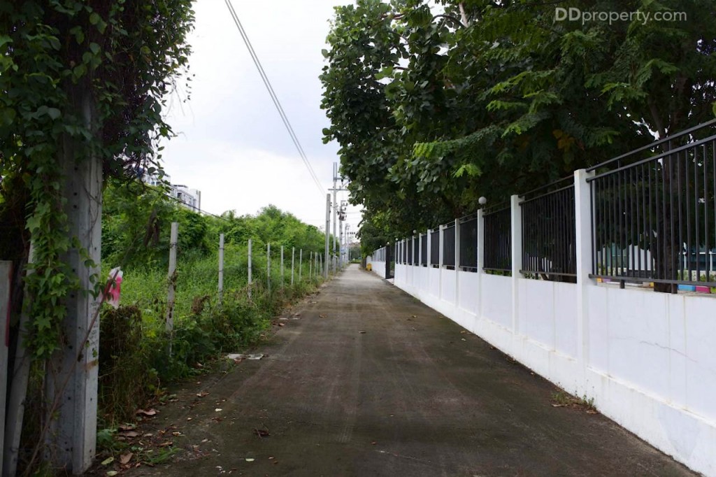 Unio SerithaiUnio Ramkhamhaeng Serithai_62-046