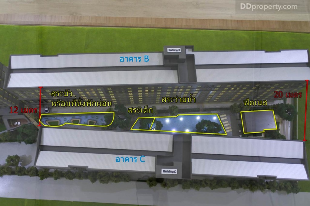 Unio SerithaiUnio Ramkhamhaeng Serithai_66-050