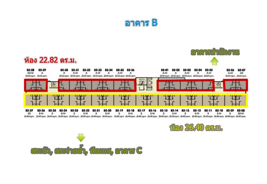 Unio SerithaiUnio Ramkhamhaeng Serithai_72-022