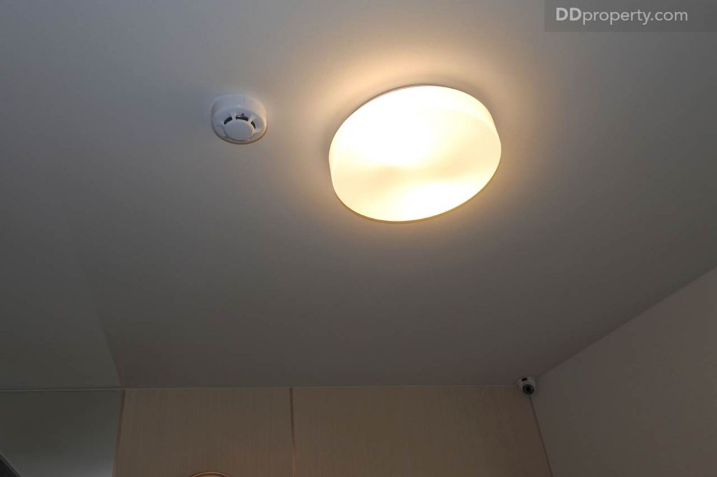 Unio SerithaiUnio Ramkhamhaeng Serithai_86-054