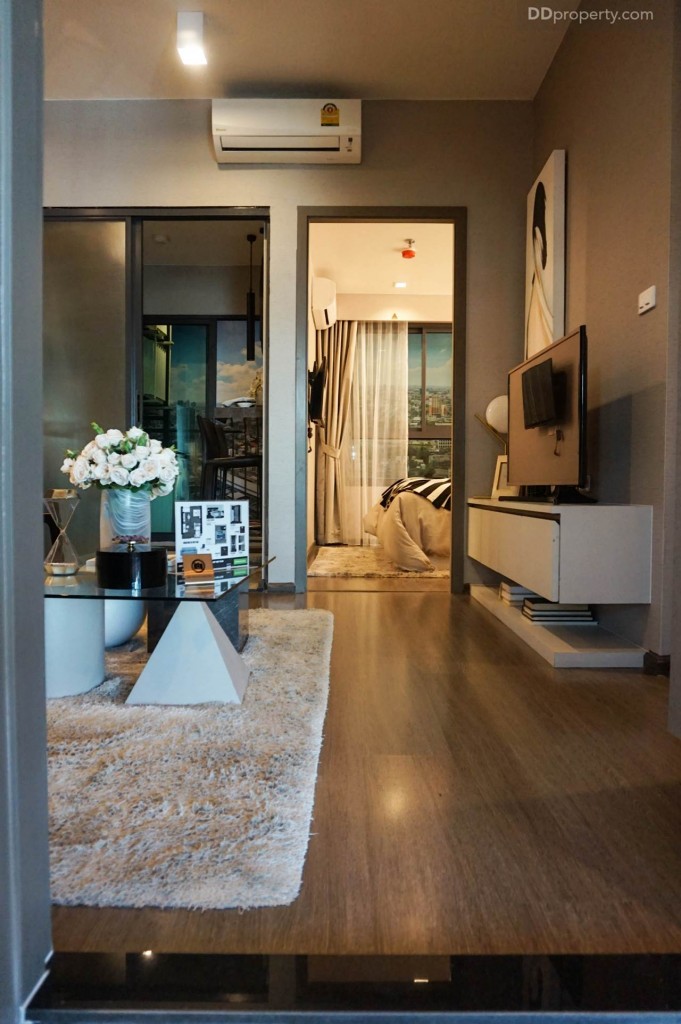 Ideo Pahon Chatujak - Ex12 DSC02369-002