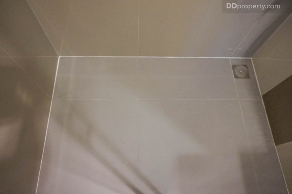 Ideo Pahon Chatujak - Ex120 DSC02410-021