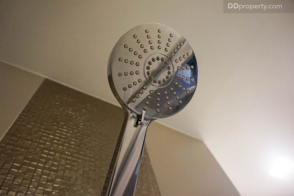 Ideo Pahon Chatujak - Ex122 DSC02412-023