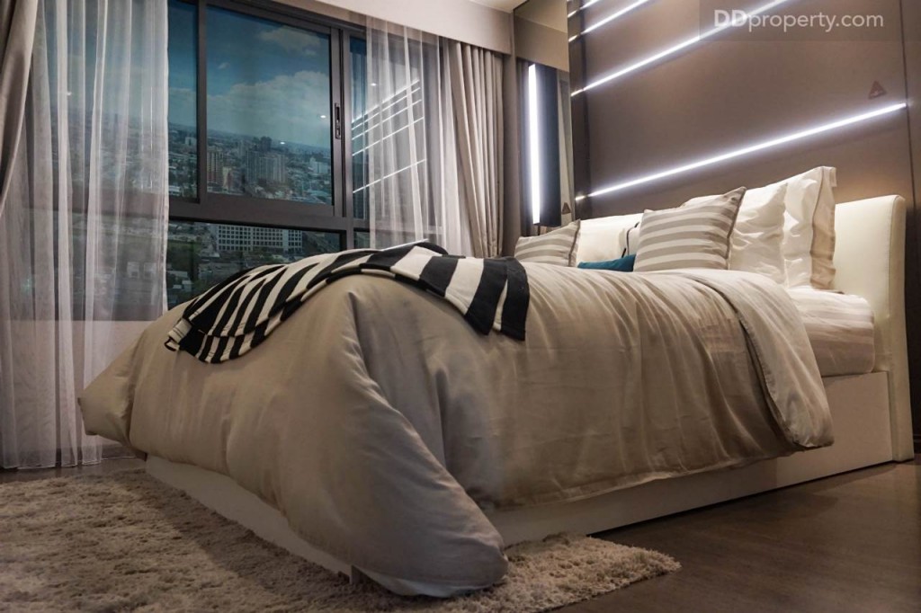 Ideo Pahon Chatujak - Ex123 DSC02420-024