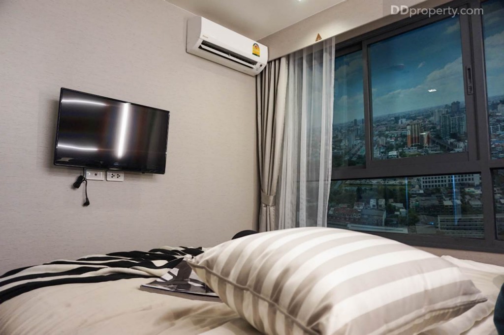 Ideo Pahon Chatujak - Ex129 DSC02433-030