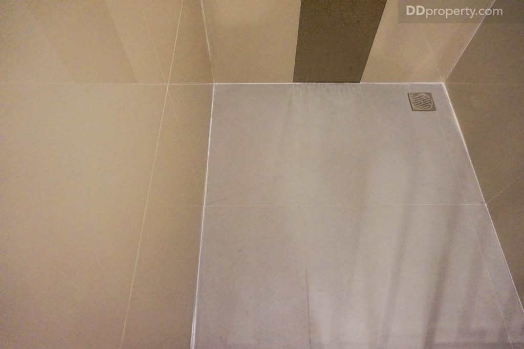 Ideo Pahon Chatujak - Ex227 DSC02523-025