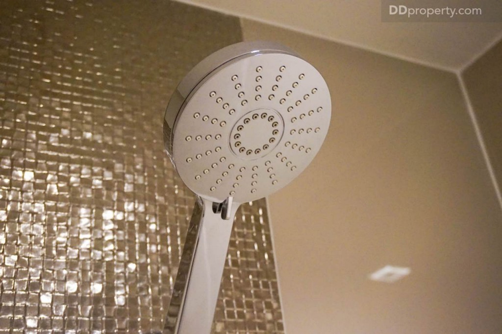 Ideo Pahon Chatujak - Ex229 DSC02525-027