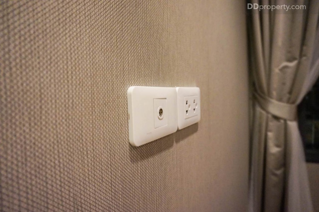 Ideo Pahon Chatujak - Ex236 DSC02537-033