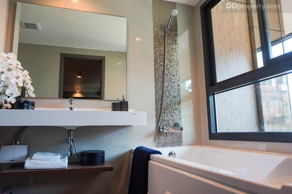 Ideo Pahon Chatujak - Ex249 DSC02567-046