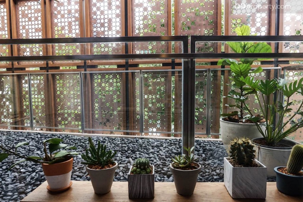 The Line Pahol - Pradipat - 1A 26.2529 DSC01863-030