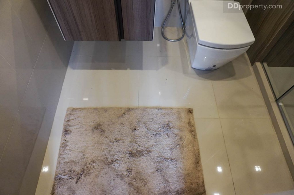 The Line Pahol - Pradipat - 1A 26.2548 DSC01888-050