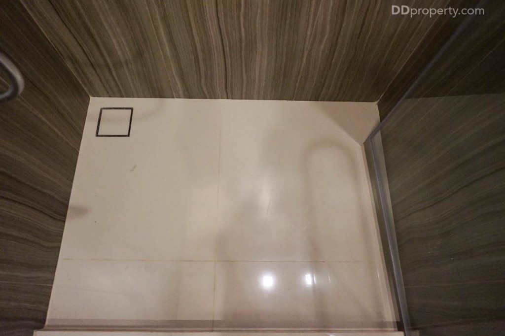 The Line Pahol - Pradipat - 1A 26.2562 DSC01904-065