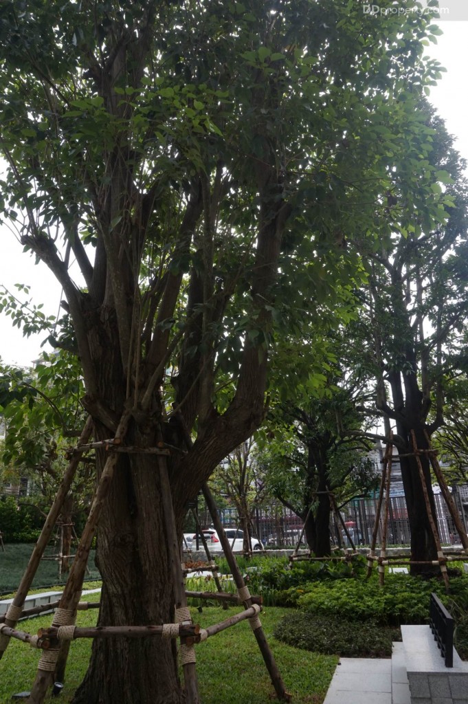 The Line Pahol - Pradipat - Project11 DSC02083-012