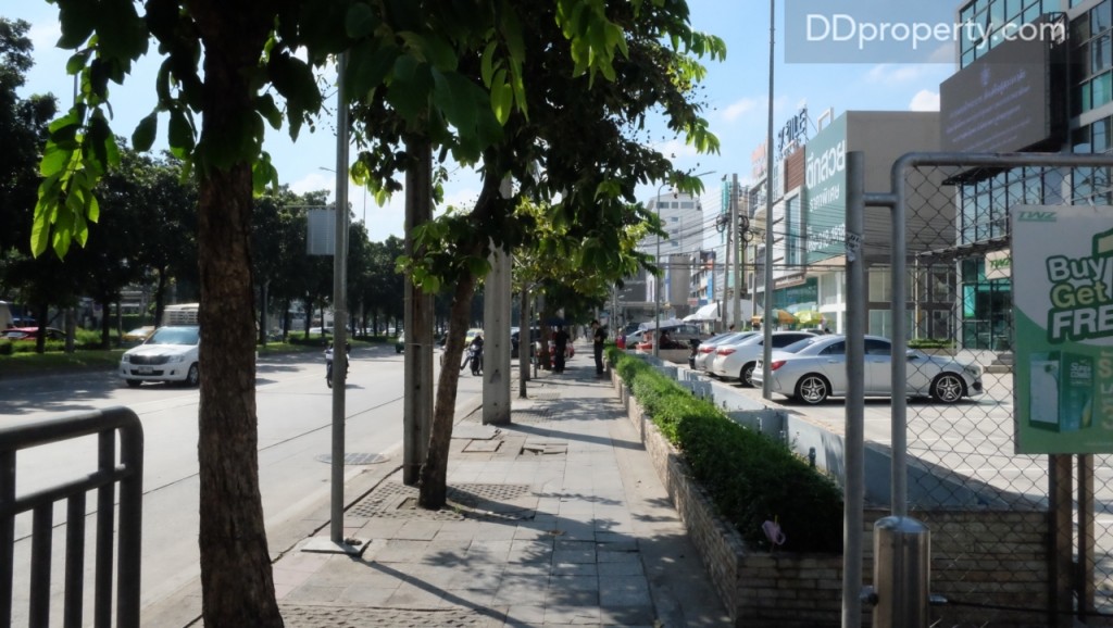 The Maple @ Ratchada 19