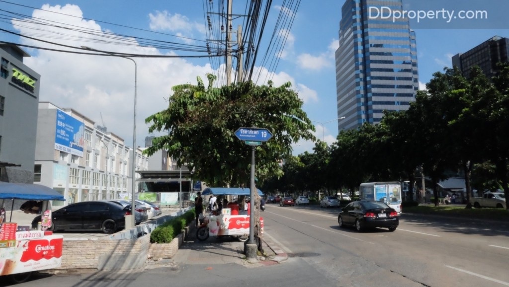 The Maple @ Ratchada 19