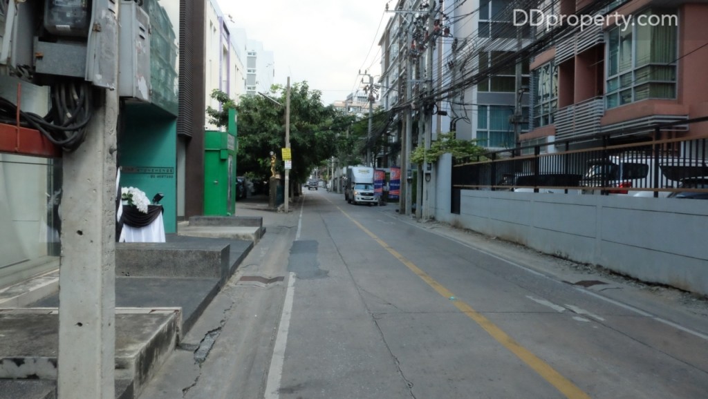 The Maple @ Ratchada 19