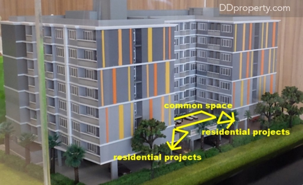 The Maple @ Ratchada 19