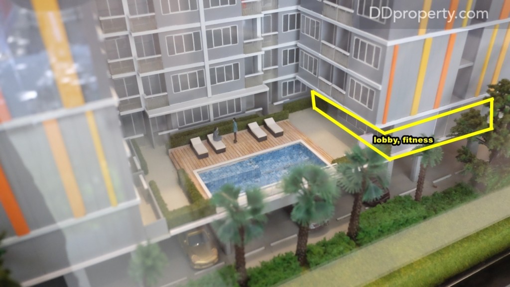 The Maple @ Ratchada 19