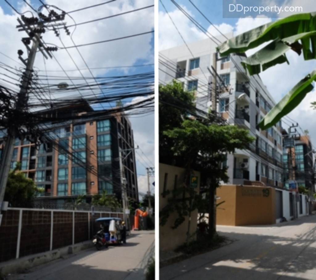 The Maple @ Ratchada 19