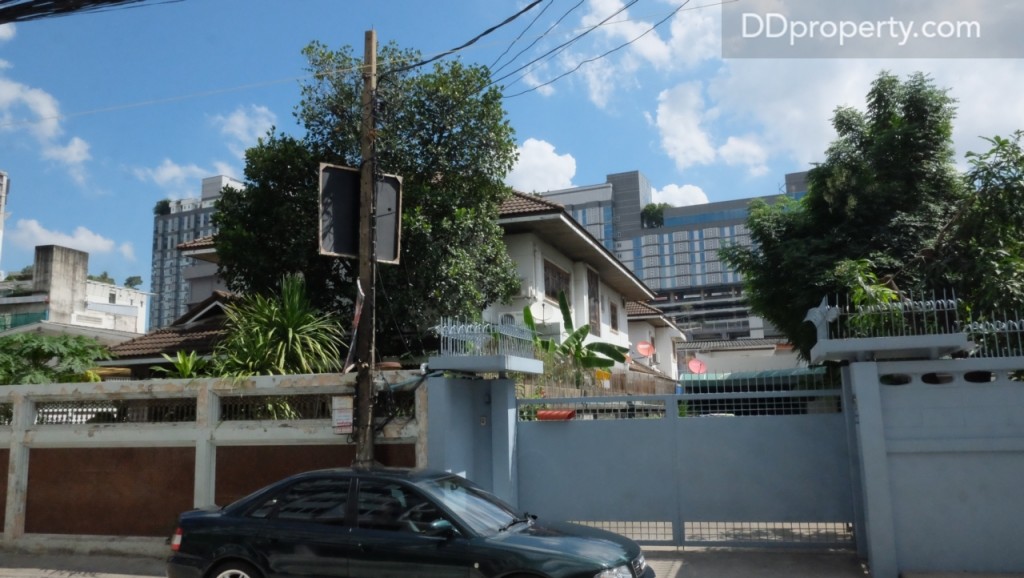 The Maple @ Ratchada 19