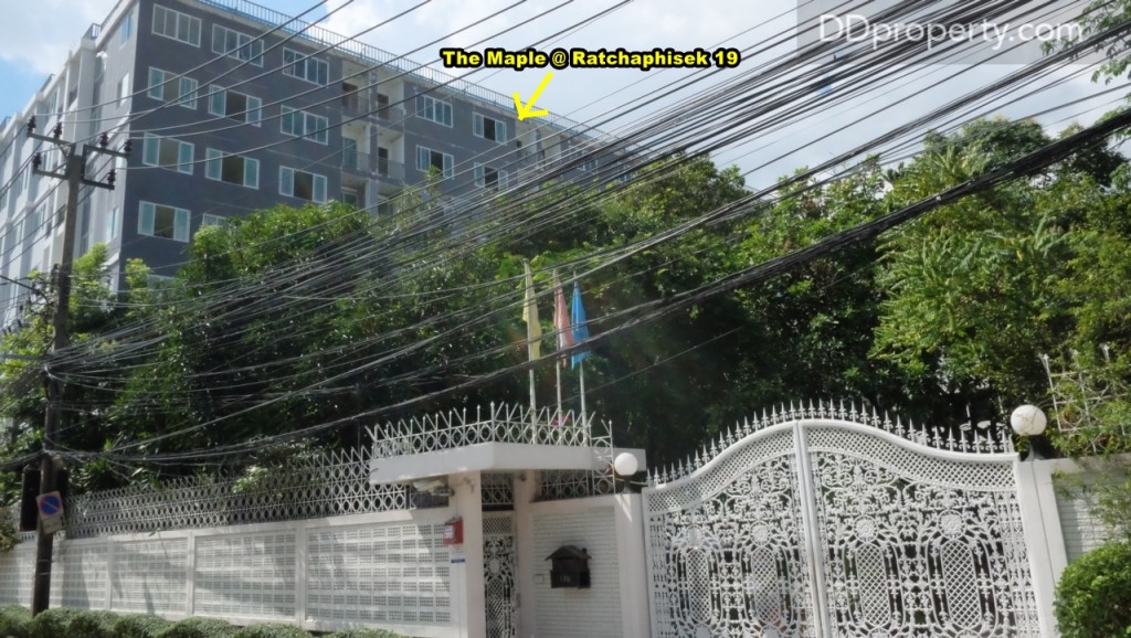 The Maple @ Ratchada 19