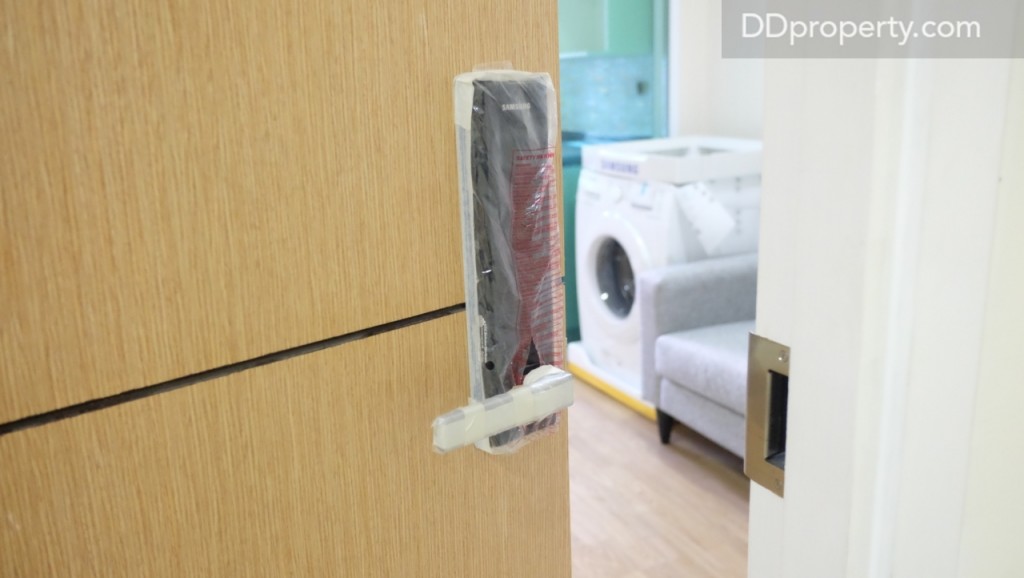 The Maple @ Ratchada 19