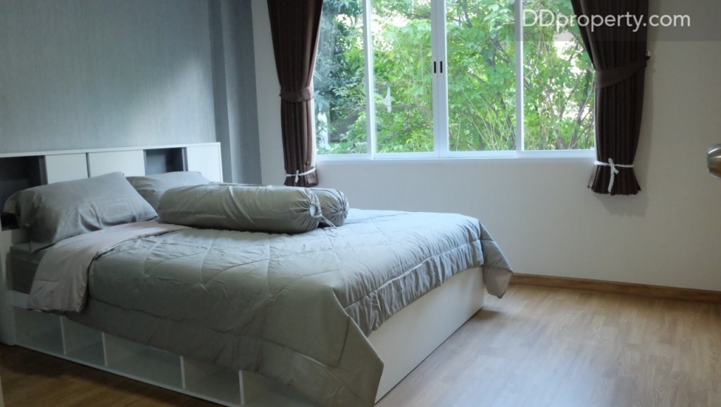 The Maple @ Ratchada 19