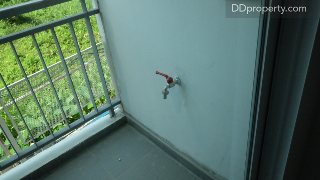 The Maple @ Ratchada 19